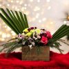 Winter Enchantment BOX